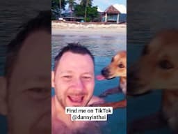 Back In Thailand After After 12 Months Away. Find Me On TikTok @dannyinthai #Thailand #solotravel