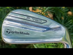 2017 Taylormade P 790 Irons - The Vintage Golfer