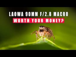 Laowa 90mm f/2.8 Macro 2X Review by Wildlife Photographer