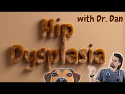 Dog Hip Dysplasia made simple