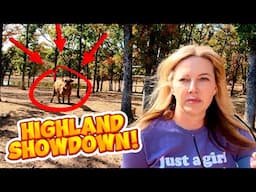 The Ultimate Showdown with Missy! The @WalkerFarmFam Highland Cow!