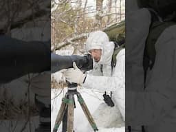 2 Days of Winter Bird Photography - Dipper, Gear and Campfire in Snow