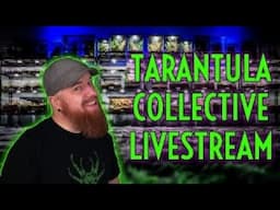 Tarantula Collective Q&A Live!