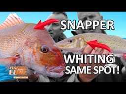 Fishing Edge - Catch Snapper & Whiting On The Same Spot