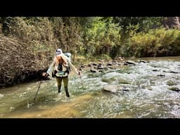 BUSHWHACKING, WATER WALKING & BACKCOUNTRY BURRITOS! Backpacking the Escalante River Trail  | Utah