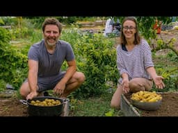 We harvest our potato experiment | Slow countryside life