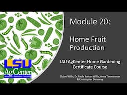 Module 20   Home Fruit Production