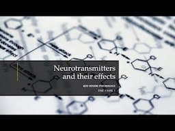 Neurotransmitters and their Effects