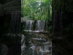 Serenity at the Rainforest  waterfall 🌳🌴🌊