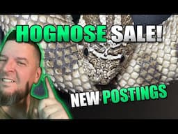 NEW Hoggies available NOW!