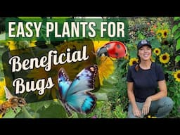 Attract Good Bugs to the Garden!  The best plants for pollinators & beneficials