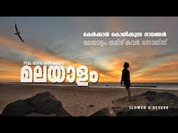 songs for sleep malayalam tamil #relaxingmusic #malayalam #coversong #sleepmusic #mashup #lofi