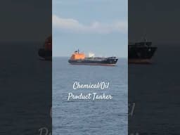 Vessel TORM AMALIE  is a Chemical/Oil Products Tanker #Ship