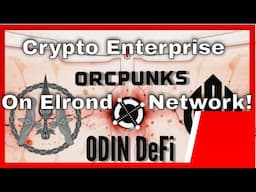 Odin Defi Protocol: prima intreprindere Crypto de pe blockchainul Elrond!