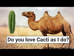 Why the Camel Can Eat Cacti with Huge Needles Painlessly?