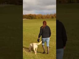 Wildlife Walk in the Cotswolds