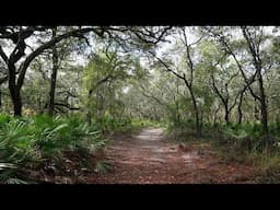 Hiking at Two Mile Prairie in Withlacoochee State Forest