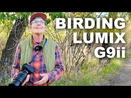 New bird photography techniques using the Lumix G9II