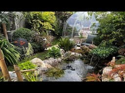 Tiny Zen Garden With Pond (Garden Tour) Relaxing Asmr