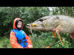 Northern Pike Fishing Catch Clean & Cook in Alaska - these Pike are full of LEECHES!!!