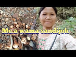 mi.a Wama Sandia  Vlog // Silmia Marak 🤩