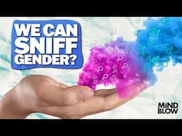 Hand Smell Predicts Gender? - Mind Blow