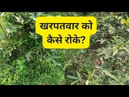 How to suppress weeds? | खरपतवार फॉर कैसे रोकें?