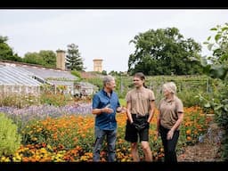 Alan Titchmarsh introduces our support of the Historic and Botanic Garden Training Programme