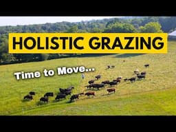 Raise More Cows & Sheep Per Acre Using These Grazing Techniques