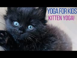 Kids Yoga | Kitten Yoga 🐈‍⬛🐱