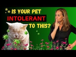 Is Histamine Intolerance Behind Your Pet's Gut Health Symptoms? - Holistic Vet Advice