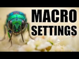 How to Master Settings in Macro Photography