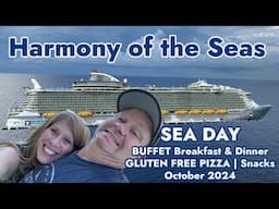 Harmony of the Seas Sea Day | BIG WIN | Buffet FOOD | Gluten free Pizza and Food | FINE AQUA SHOW