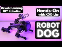 Unleash the Power of DIY Robotics with XGO-Lite Robot Dog - Everything you need to know!