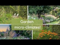 Right plant, wrong place? How to create your ideal garden micro-climate...