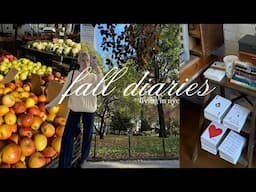 fall diaries | wholesome + cozy november days in nyc