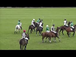 David Healy Trophy - Full Polo Match