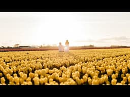 Proposing at The Tulip Fields in Amsterdam!