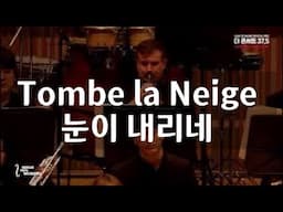 Tombe la neige(눈이내리네)by KOREAN POPS ORCHESTRA코리안팝스오케스트라