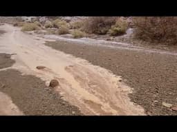 Flash Flood Out of Little Wild Horse Canyon