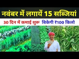 नवंबर 2024 में कौन सी सब्जी लगाए | November me konsi sabji lagaye | vegetable farming in winter