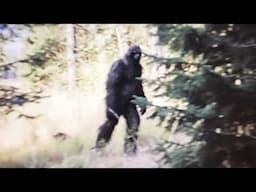 Bigfoot Caught on Camera? Sightings The Government Wanted Classified