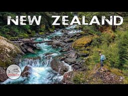 Fly Fishing for HUGE NEW ZEALAND Rainbow and Brown TROUT - CEDAR LODGE New Zealand