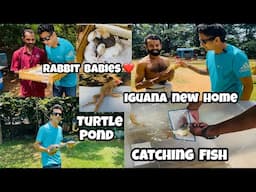 Transferring Turtle | Rabbit Babies ❤️ | Fish Pond | Iguana New home | Indian Aqua Boy24 Vlog