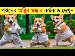 পশুদের মজার কর্মকান্ড ক্যামেরায় ধরা পড়া | Funny Animals Video 2023 (Part-25) | mayajaal