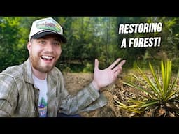 Creating A New Wildlife Garden With Native Plants | Restoring a Forest!