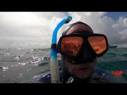 Snorkeling Palm Beach Inlet, Florida