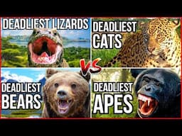 All 8 Ranking Deadly Animal Videos That I have Ever Made - Deadliest Animals