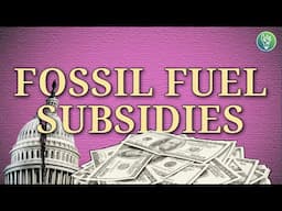 Why Goverments Still Fund Fossil Fuels