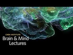 Chen Institute Brain & Mind Lecture - Our Minds on VR | Academy Members Program